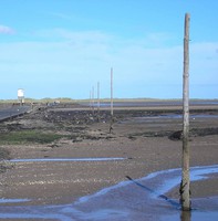 causewaypoles2crop